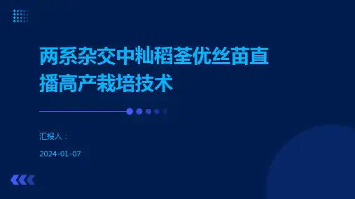 两系杂交中籼稻荃优丝苗直播高产栽培技术