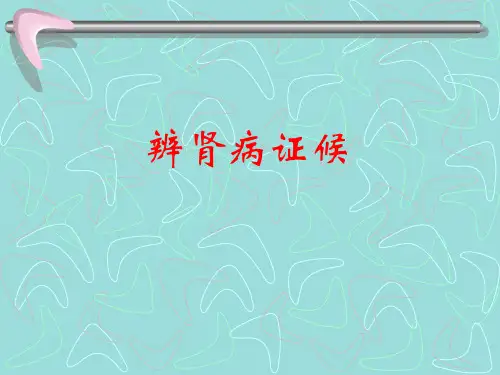 辨肾病证候