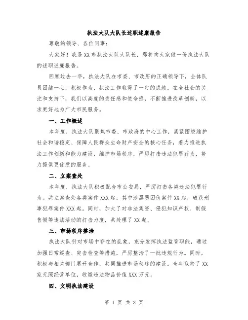 执法大队大队长述职述廉报告