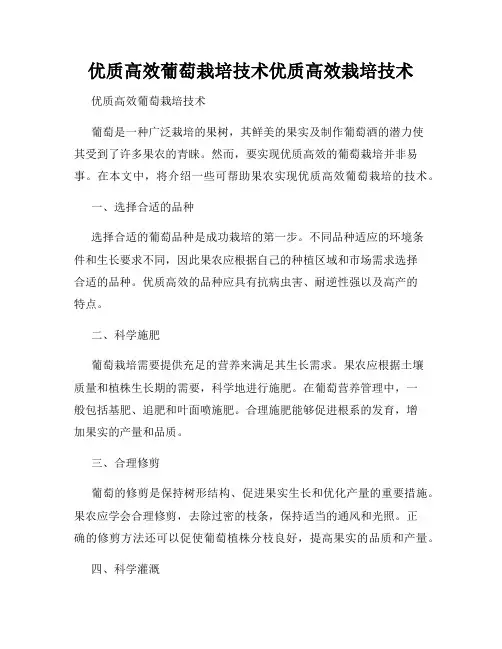 优质高效葡萄栽培技术优质高效栽培技术