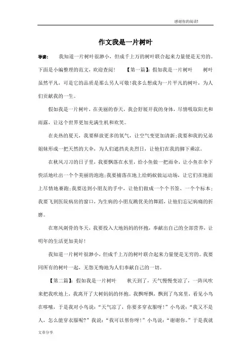 作文我是一片树叶