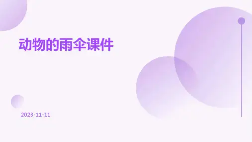 动物的雨伞课件