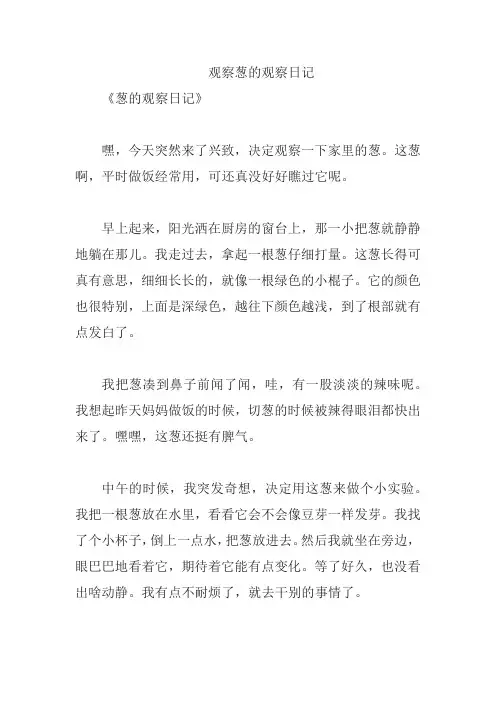观察葱的观察日记