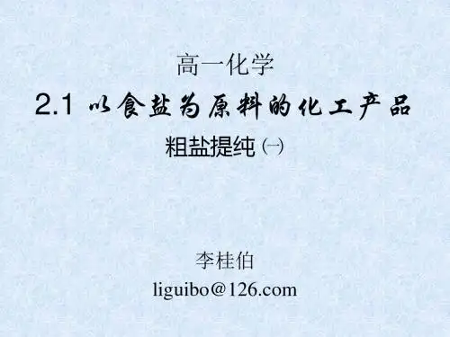 以食盐为原料的化工产品(一)
