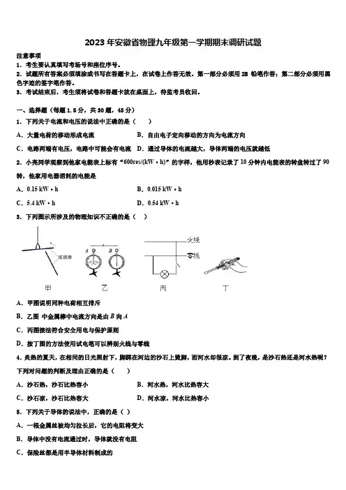 2023年安徽省物理九年级第一学期期末调研试题(含答案)