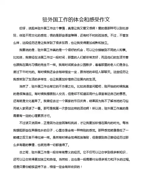 驻外国工作的体会和感受作文