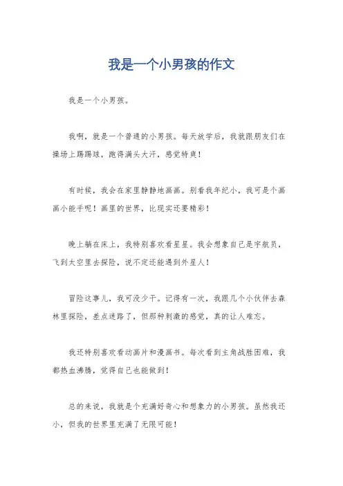 我是一个小男孩的作文
