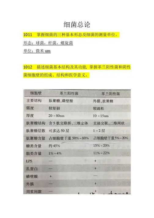 细菌部分整理