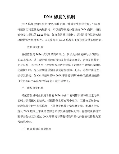 DNA修复的机制