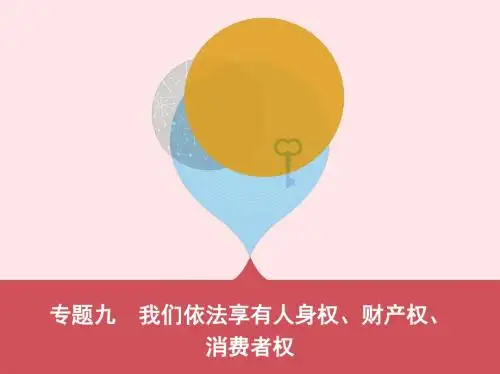 (泰安专版)2019中考道德与法治第一部分教材研析篇专题九我们依法享有人身权财产权消费者权课件