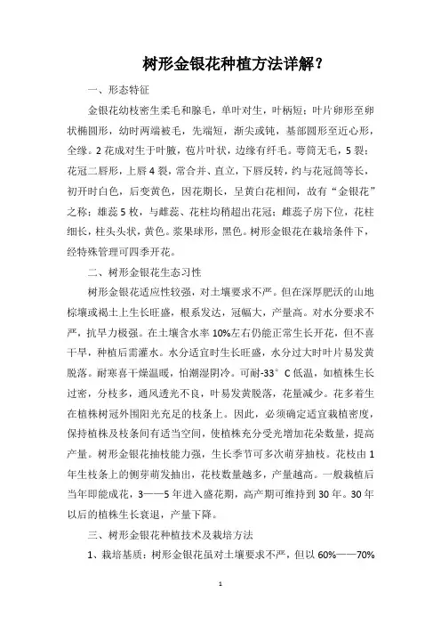 树形金银花种植方法详解？