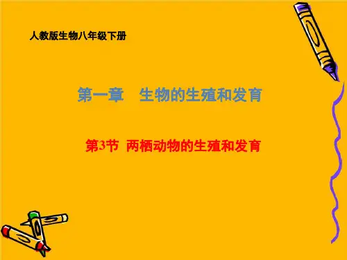 人教版生物八年级下册  7. 两栖动物的生殖和发育 课件 