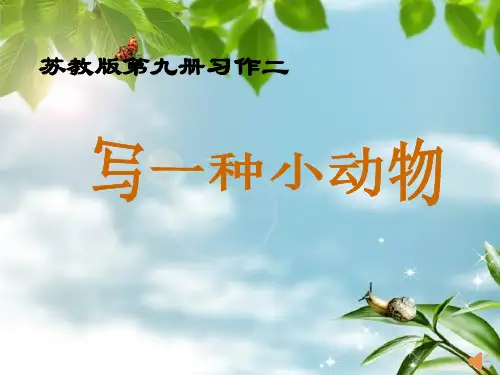 五上习作《写一种小动物》PPT课件