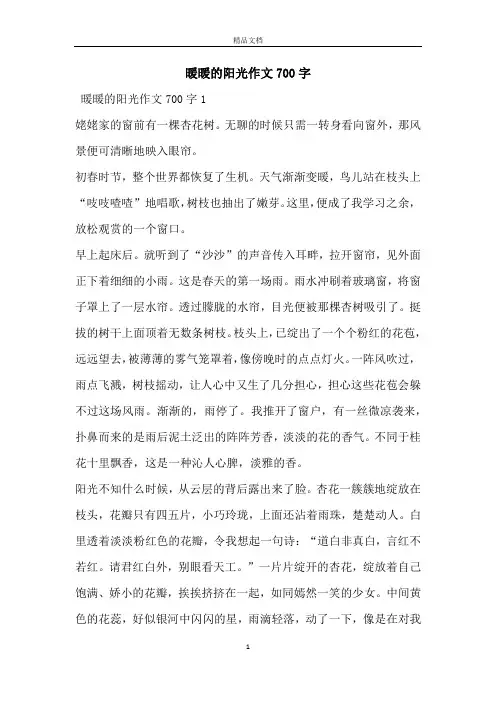 暖暖的阳光作文700字