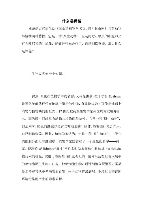 什么是裸藻