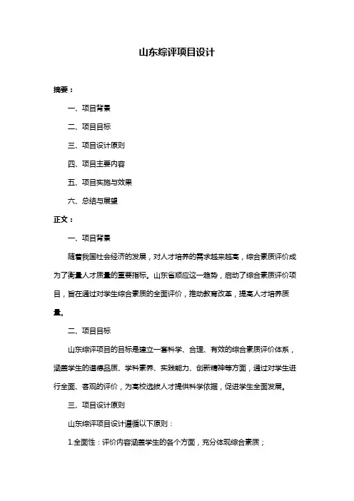 山东综评项目设计