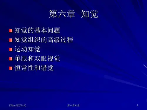 第六章  知觉