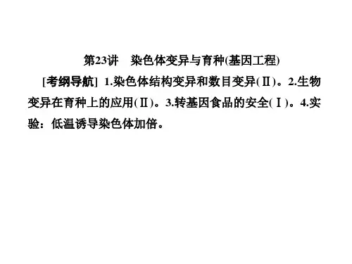【最新】高三生物总复习课件：第七单元 生物的变异、育种和进化7-23 