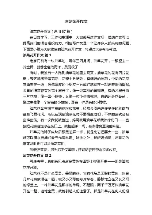 油菜花开作文（通用67篇）