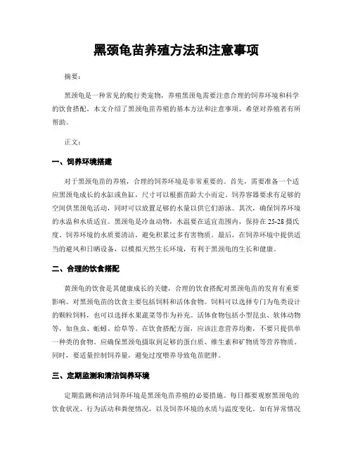 黑颈龟苗养殖方法和注意事项