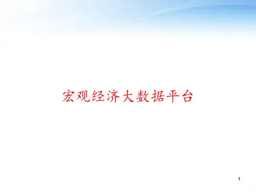 宏观经济大数据平台 ppt课件