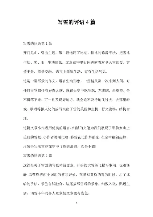 写雪的评语4篇