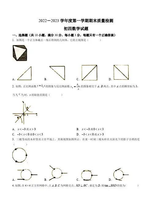 山东省烟台市蓬莱区2022-2023学年九年级上学期期末数学试题(含答案)