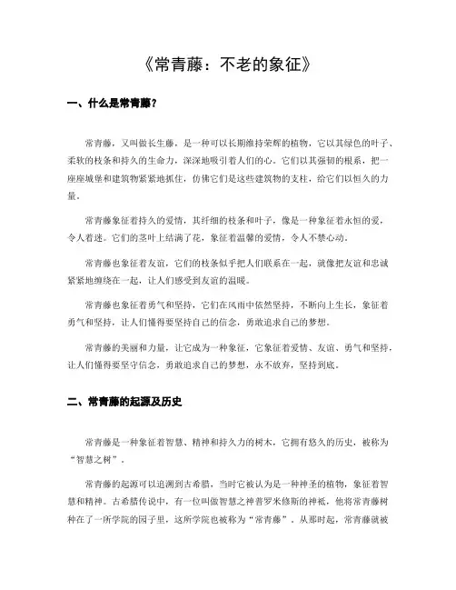 常青藤是什么意思