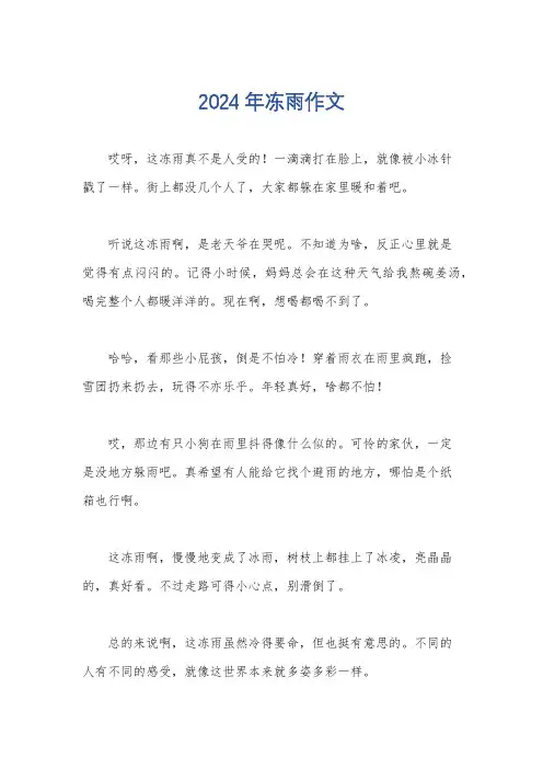 2024年冻雨作文