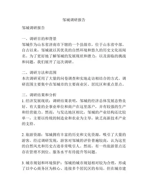 邹城调研报告