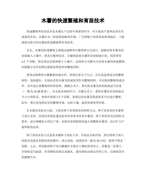 木薯的快速繁殖和育苗技术