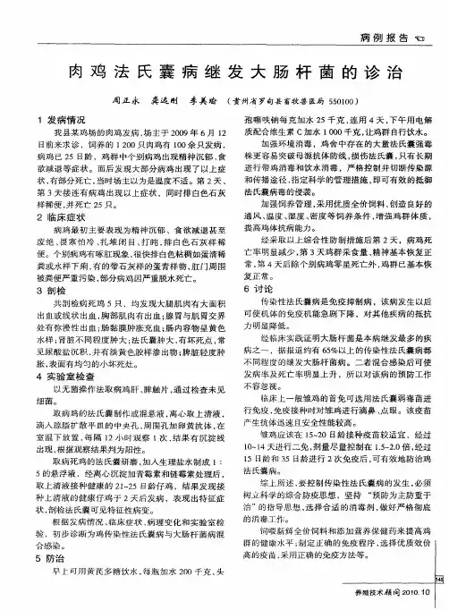肉鸡法氏囊病继发大肠杆菌的诊治