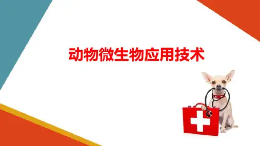 病毒及病毒类疾病的实验室诊断—病毒类疾病的实验室诊断(动物微生物技术课件)
