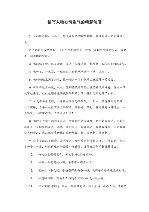 描写人物心情生气的精彩句段