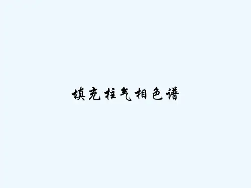 填充柱气相色谱-PPT