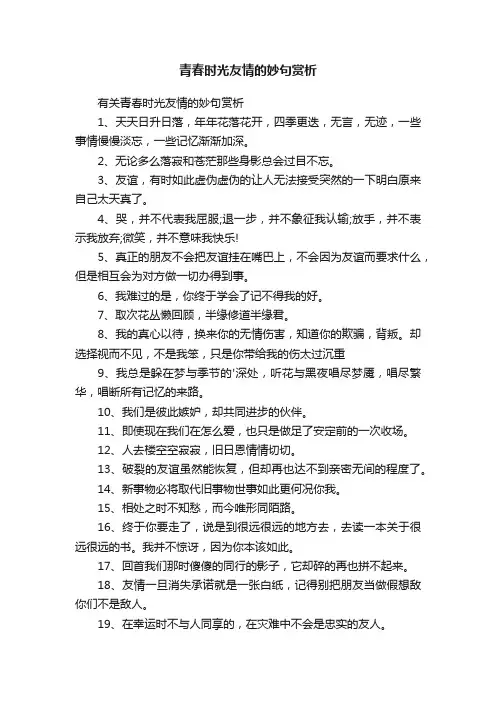 青春时光友情的妙句赏析