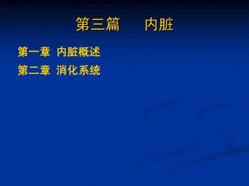 04-1内脏--消化系统