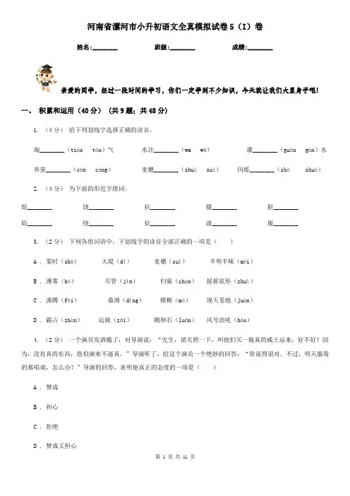 河南省漯河市小升初语文全真模拟试卷5(I)卷