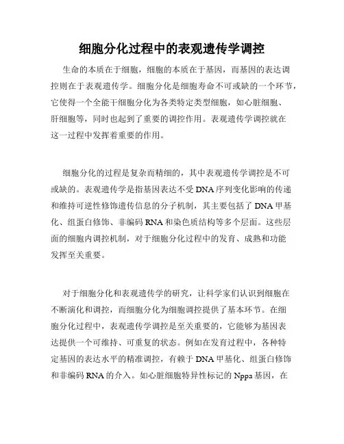 细胞分化过程中的表观遗传学调控
