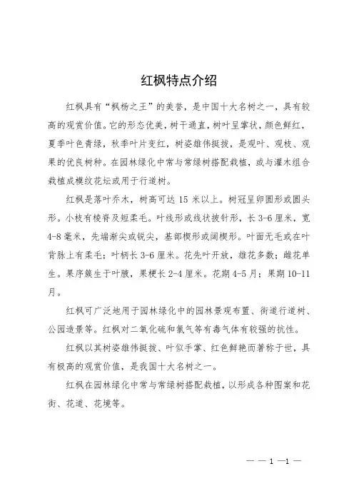红枫特点介绍