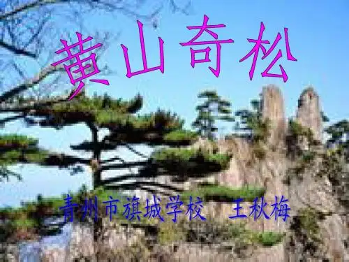 黄山奇松课件
