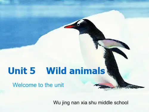 新译林版八年级上册第五单元welcome