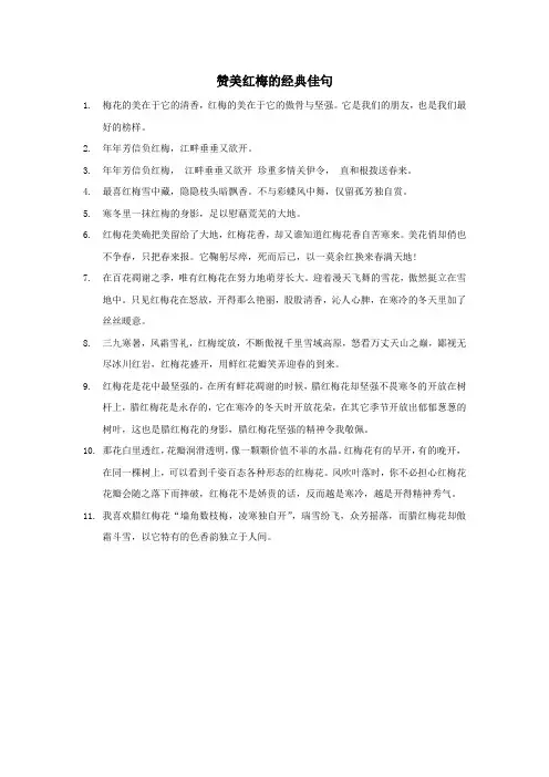 赞美红梅的经典佳句
