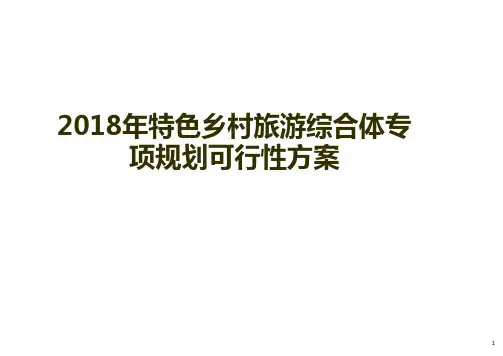 2018年特色乡村旅游综合体专项规划可行性方案
