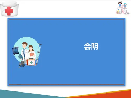 生殖系统—会阴和乳房(人体结构与功能课件)