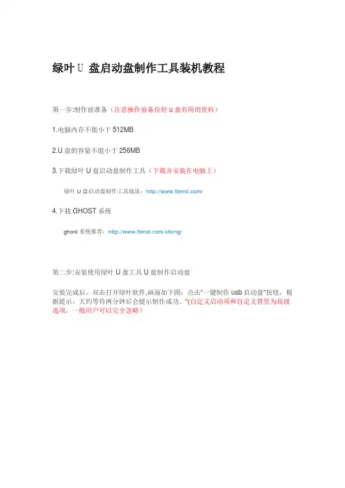 绿叶U盘启动盘制作工具装机教程一