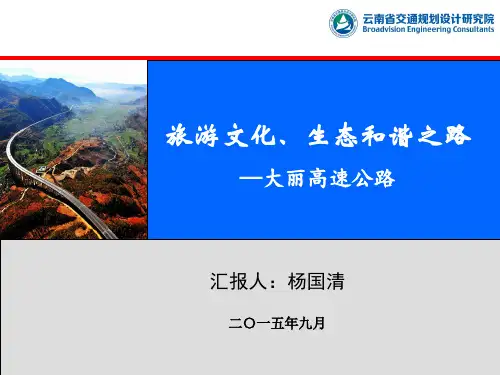 大丽线勘察设计总结交流