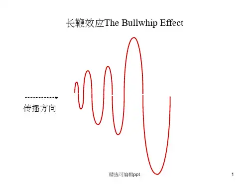 长鞭效应PPT