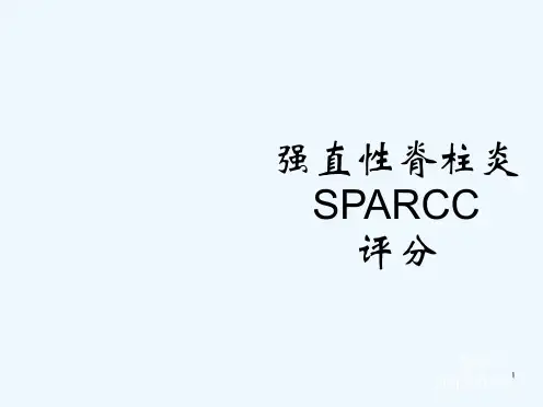 强直性脊柱炎MRI评分