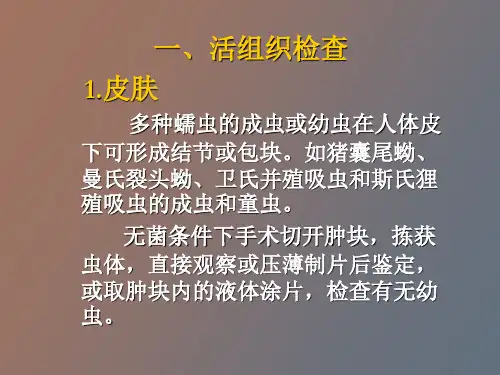 皮肤与组织寄生虫的检查